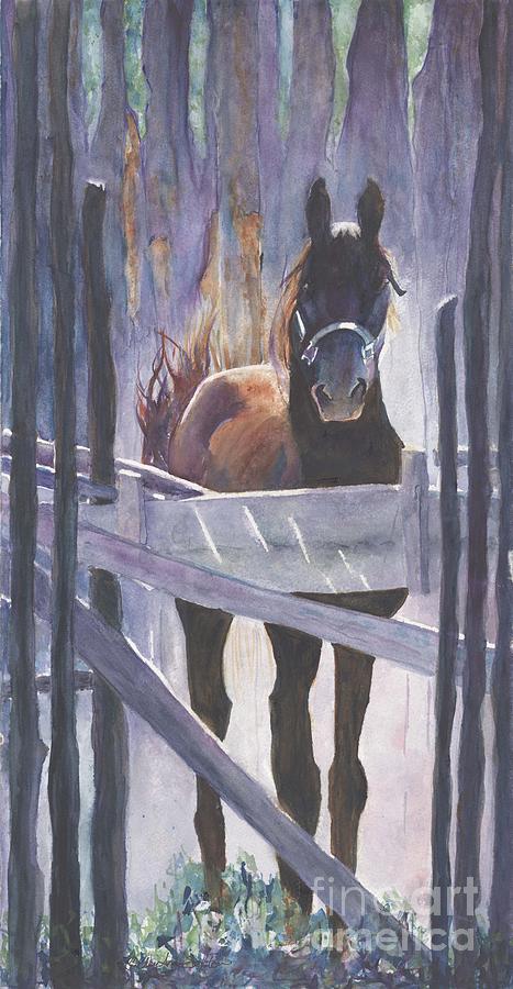 Beautiful Painting - Taos Morgan Stallion watercolour by CheyAnne Sexton