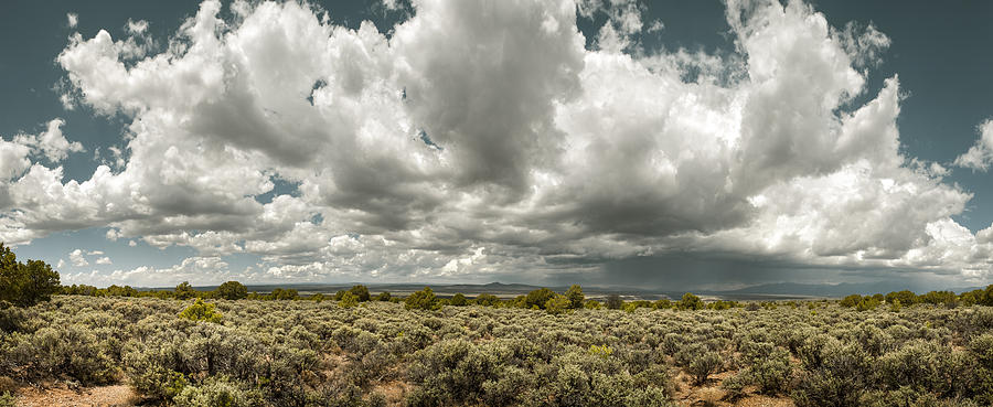 Landscape Photograph - Taos Sage Plateau by Amadeus Leitner
