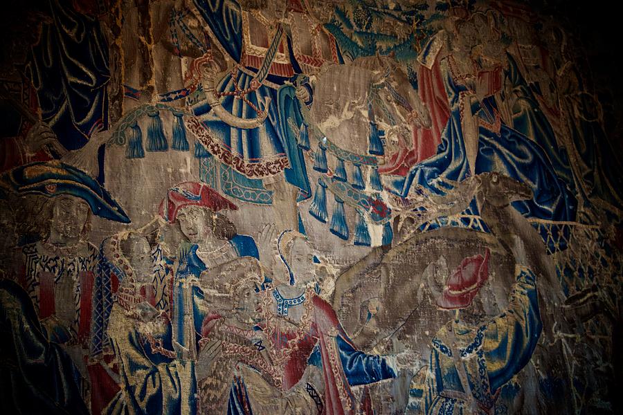 Tapestry Color Photograph by Eric Tressler