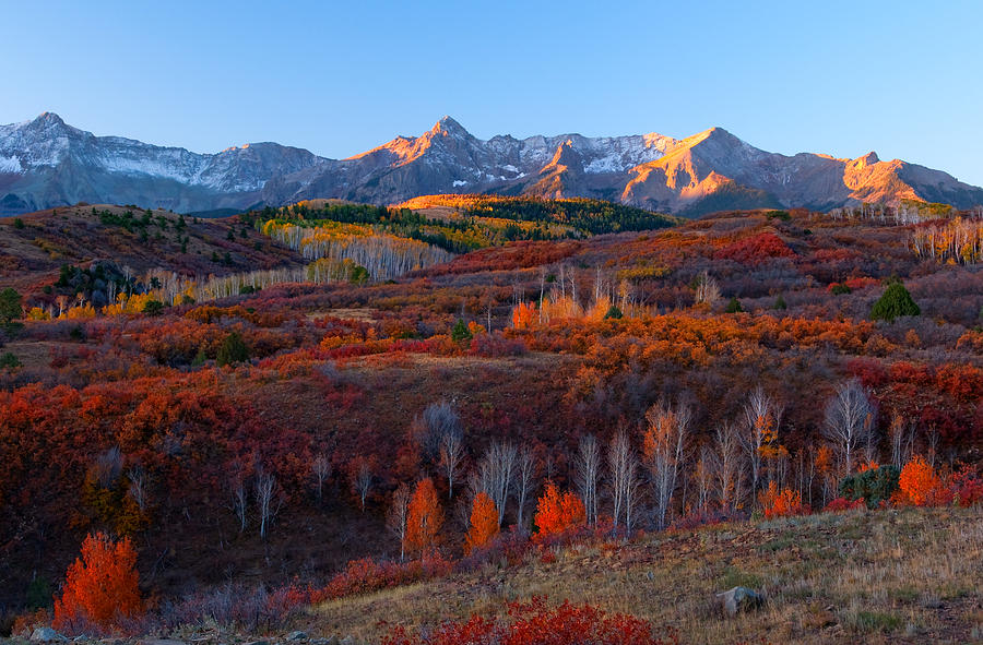 Tapestry Of Colors Photograph by Tim Reaves - Fine Art America