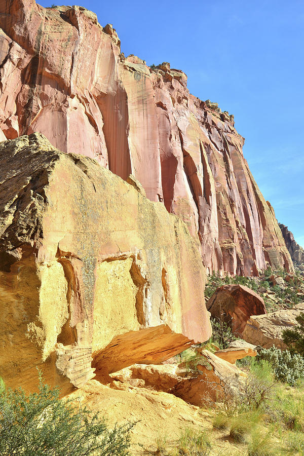 Tapestry Wall in Capitol Gorge Photograph by Ray Mathis