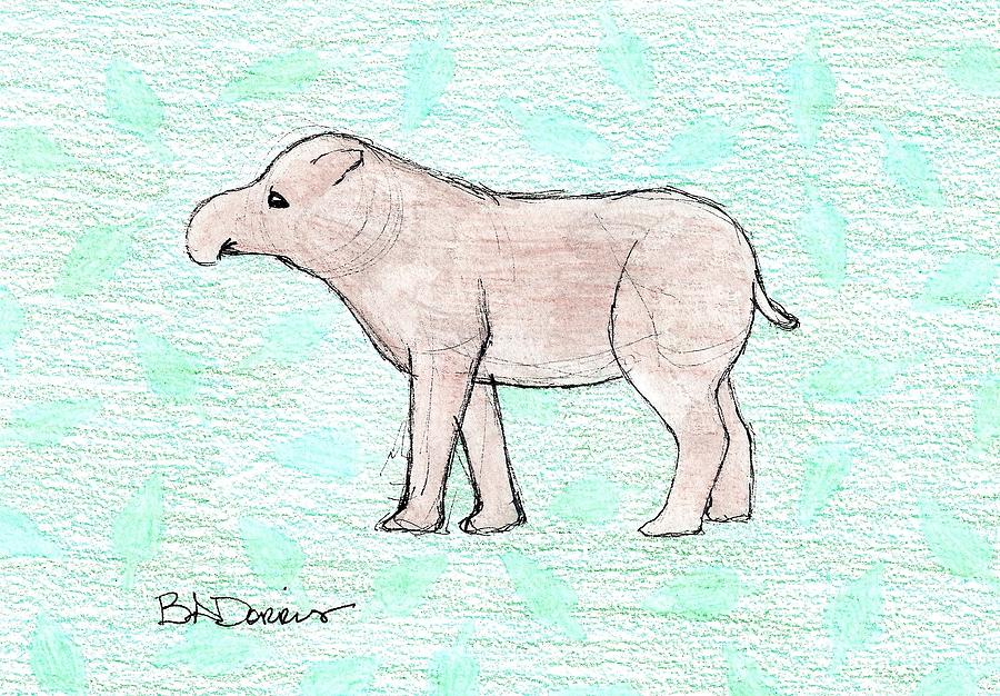 Tapir by Brittany Dorris Tapir by Brittany Dorris