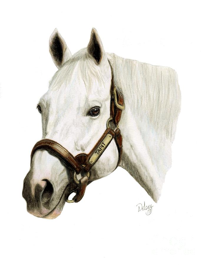 Tapit Painting by Pat DeLong