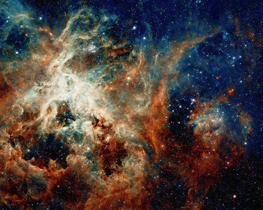 Tarantula Nebula Photograph by Weston Westmoreland