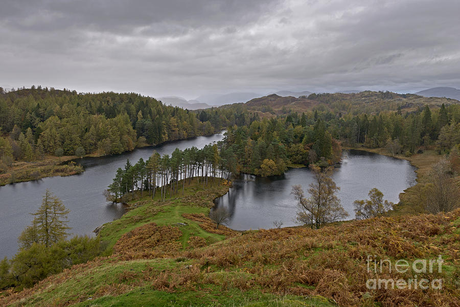 Tarn Hows Drenched Photograph