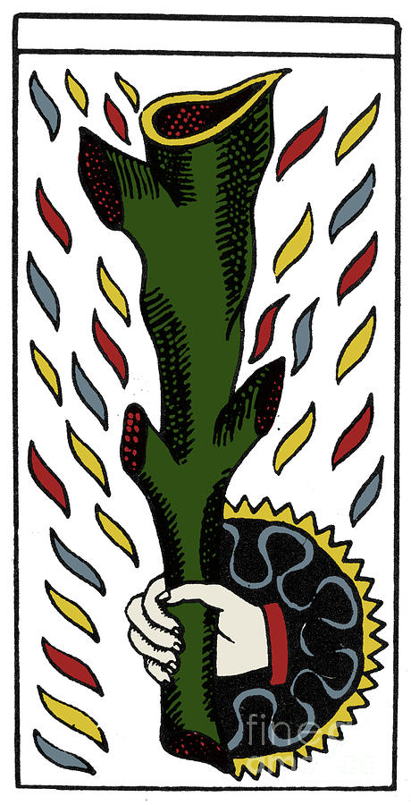 Tarot Card Ace Of Wands Photograph by Granger