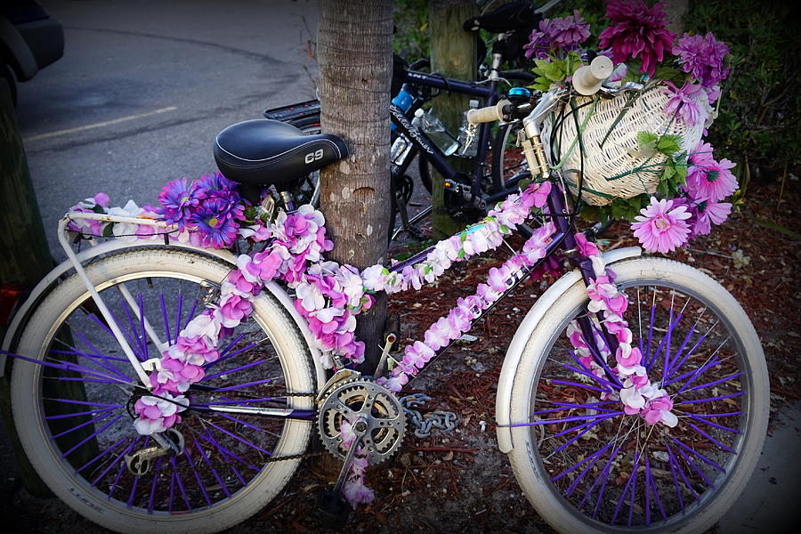 Tarpon Bike Photograph by Laurie Perry
