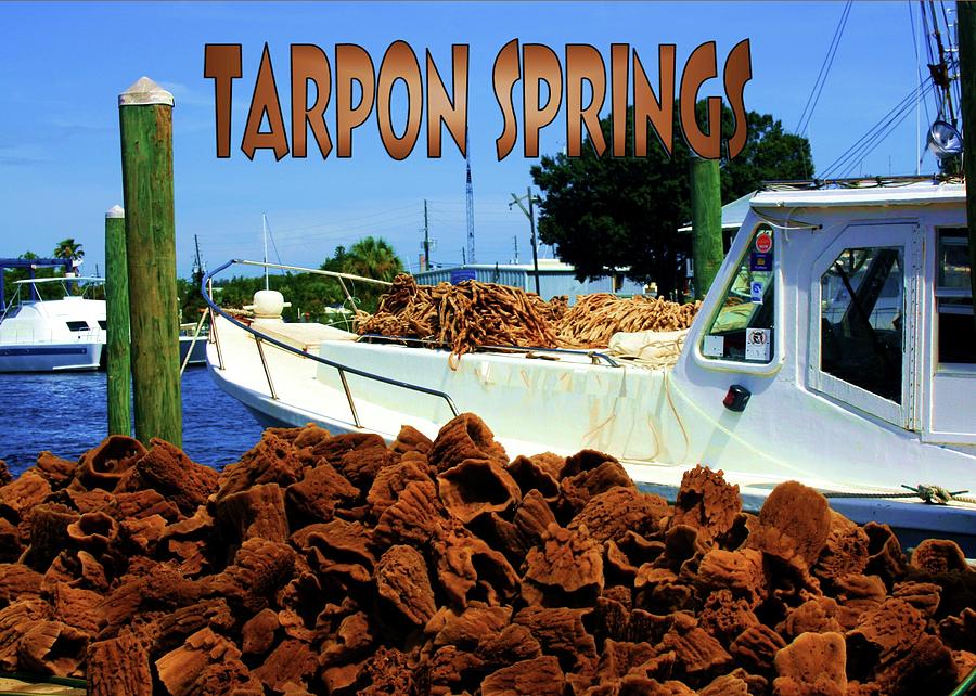 Tarpon Springs Postcard Photograph by Robert Wilder Jr