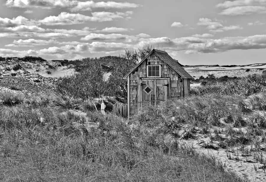 Tasha Dune Shack in Black and White Photograph by Marisa Geraghty Photography