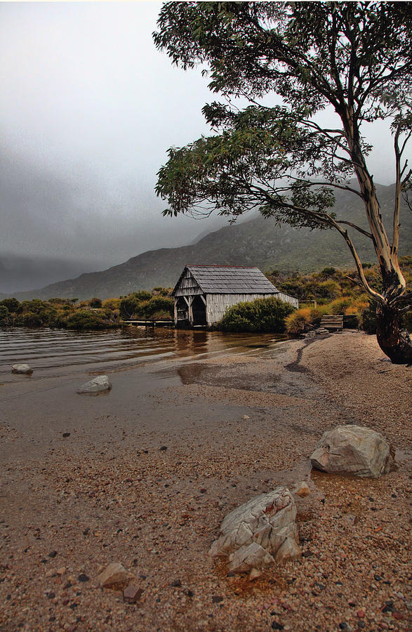 Tasmania boat shed Photograph by Jack Nevitt
