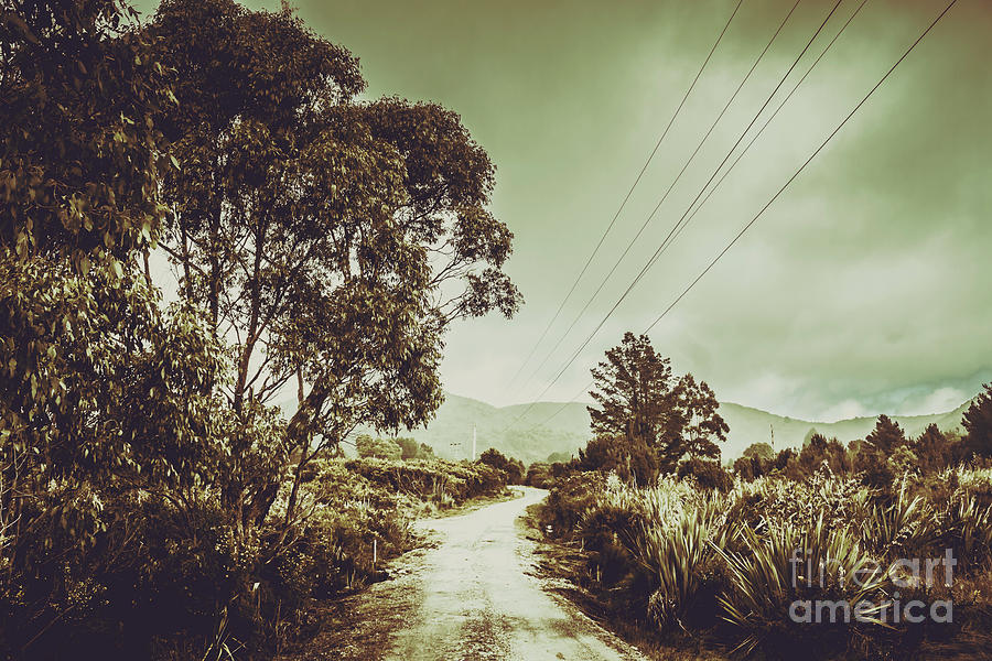 Tree Photograph - Tasmania country roads by Jorgo Photography