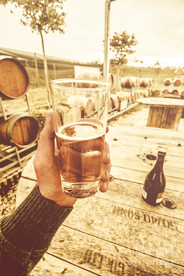 Tasmanian Ciders Photograph
