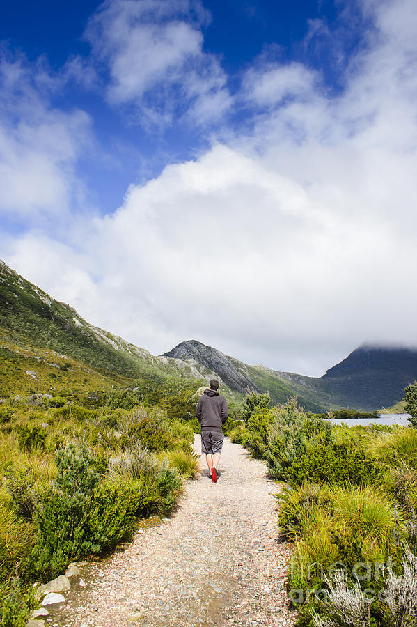Tasmanian man hiking along a scenic mountain trail Photograph by Jorgo Photography