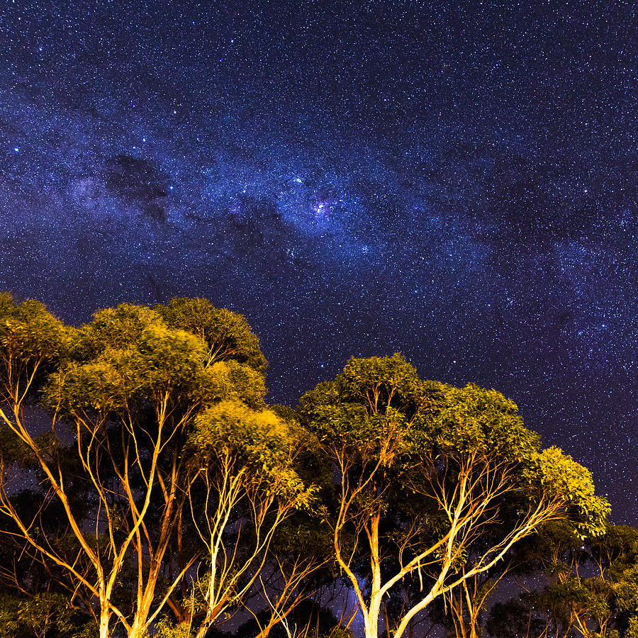 Night Photograph - Tasmanian nights by Tim Lake