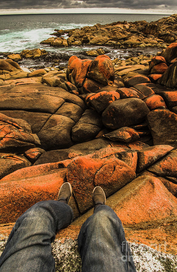Tasmanian tourist kicking back  Photograph by Jorgo Photography