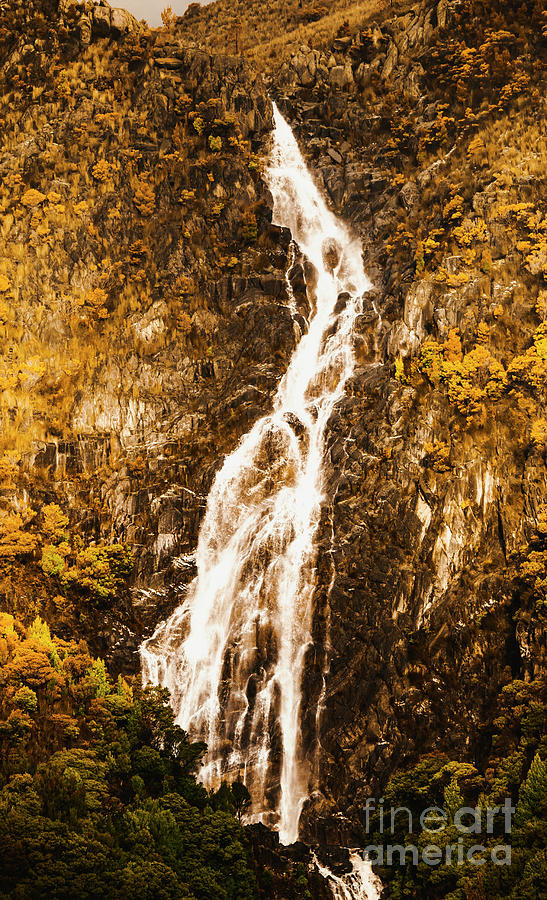 Tasmanian waterfall landscape Photograph by Jorgo Photography
