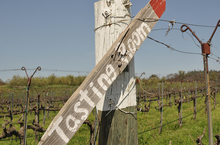 Tasting Room Sign Post Photograph by Brandon Bourdages