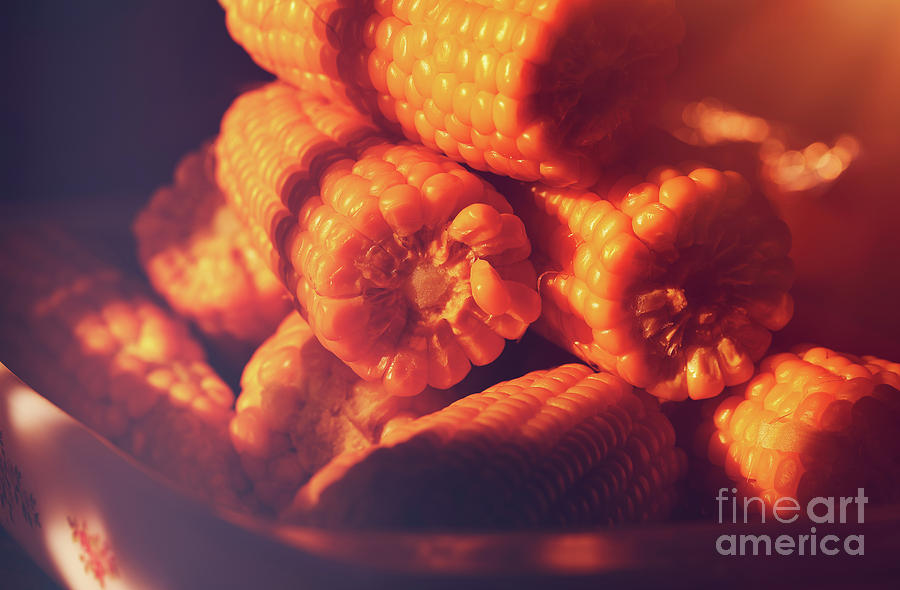 Tasty corn Photograph by Anna Om