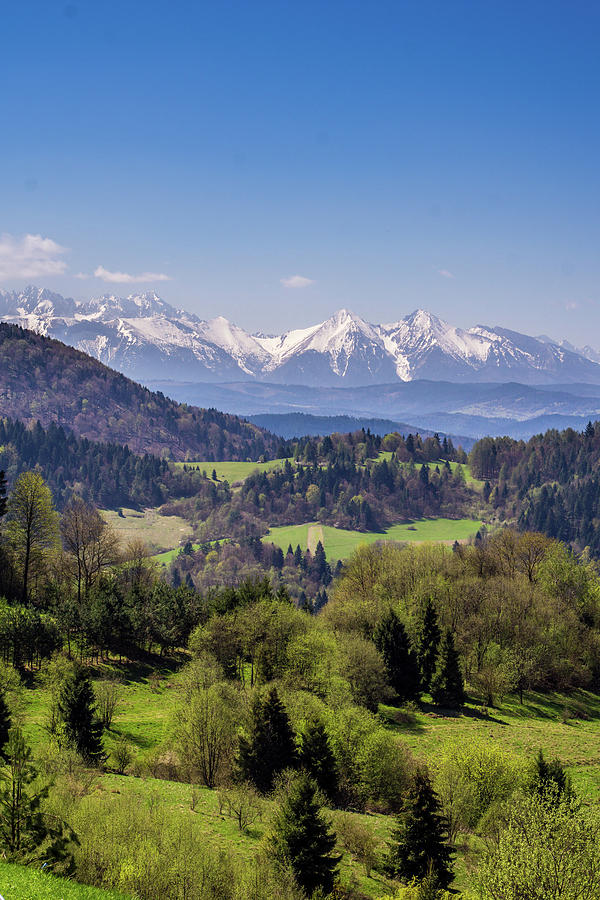 Tatry Seen From The Pieniny Photograph by Pati Photography