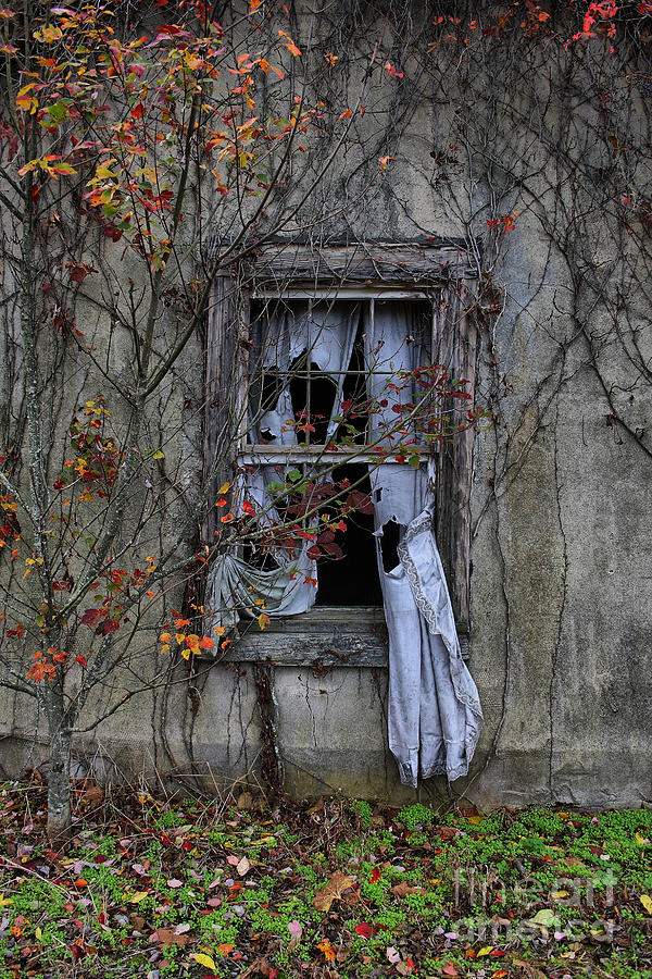 Curtain Photograph - Tattered Curtain 09 Fall no.1 by Sari Sauls