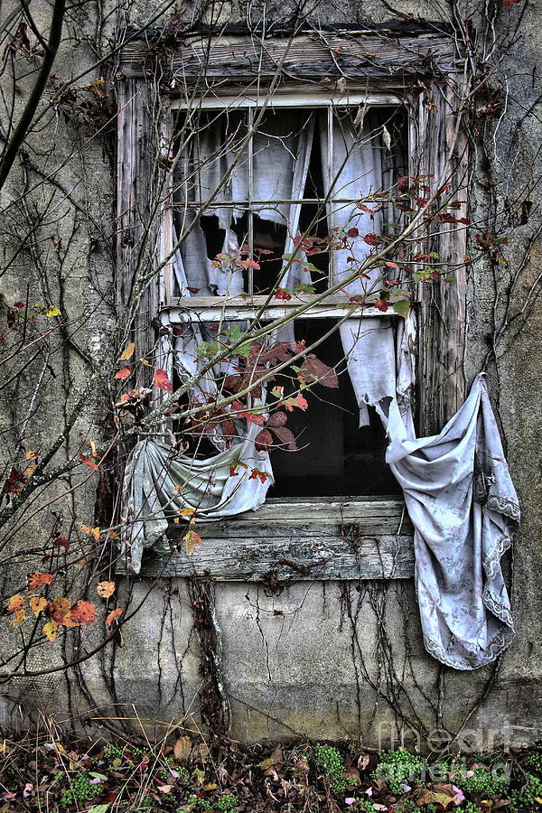 Curtain Photograph - Tattered Curtain Fall 09 no.2 by Sari Sauls