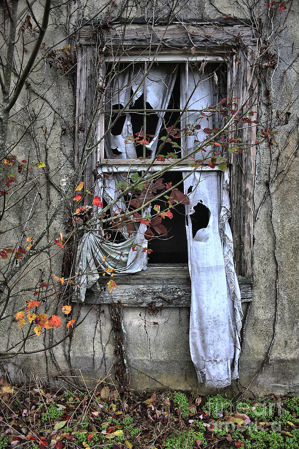 Tattered Curtain Fall 09 no.3 Photograph by Sari Sauls