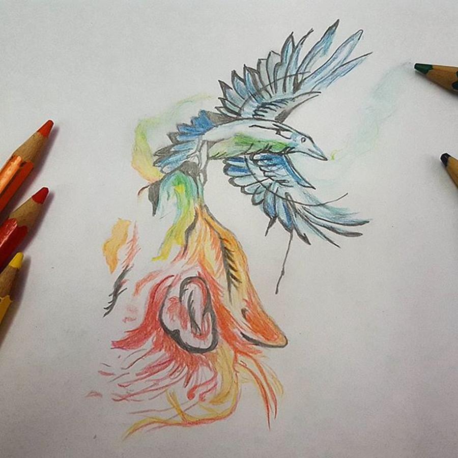2400 Phoenix Tattoo Illustrations RoyaltyFree Vector Graphics  Clip  Art  iStock  Phoenix bird Fenix Firebird