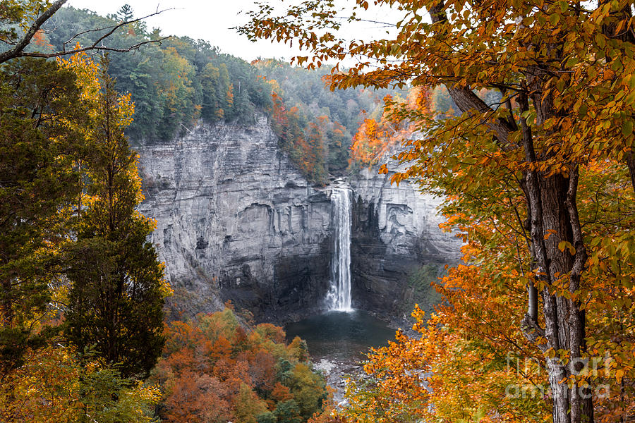Waterfall Photograph - Taughannock Autumn by William Norton
