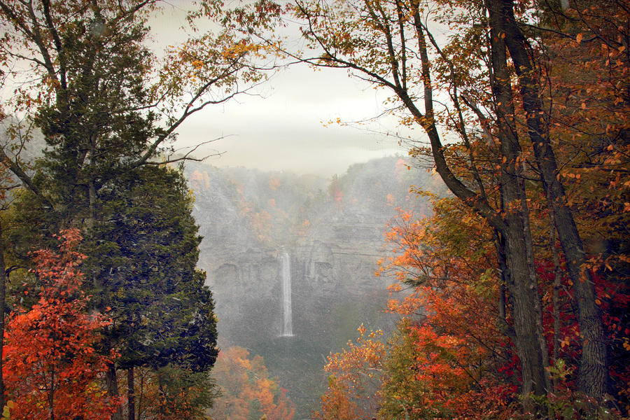 Taughannock in the Mist Photograph by Jessica Jenney