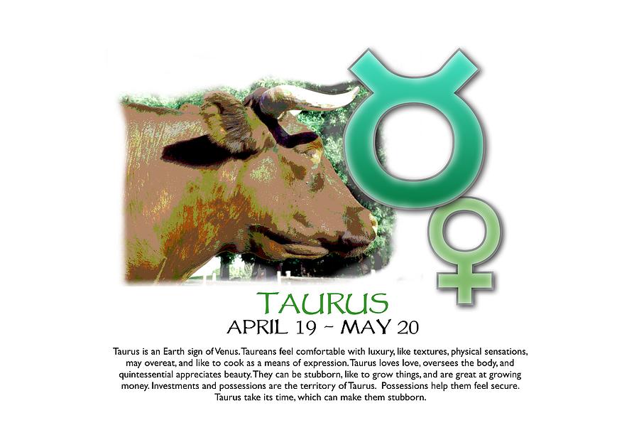 Taurus Sun Sign Digital Art by Shelley Overton