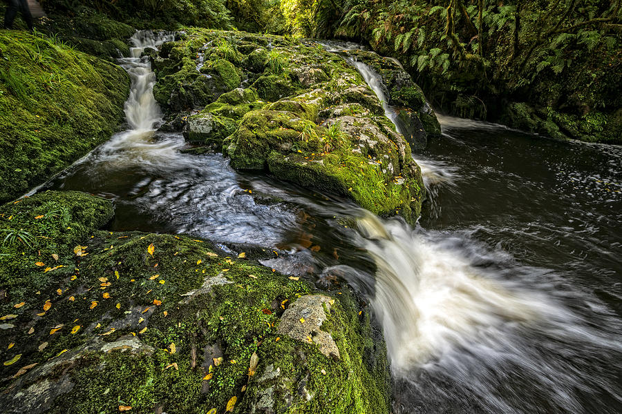 Tautuku River Cascades Photograph by Robert Green - Fine Art America