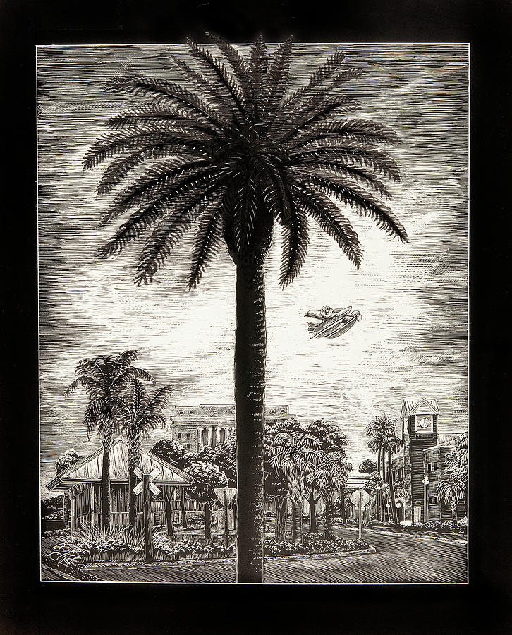 Tree Drawing - Tavares Palm by Jennifer Harper