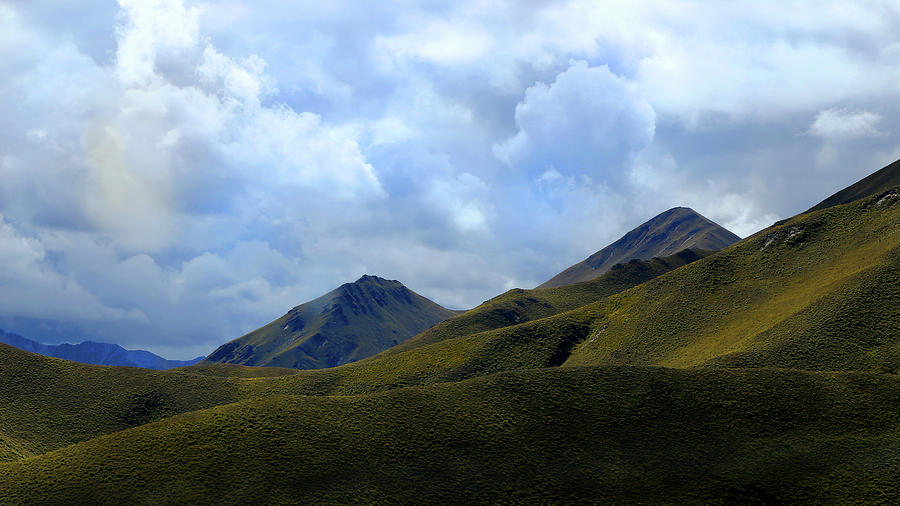 Tawny Hills At Lindis Pass Photograph By Nareeta Martin