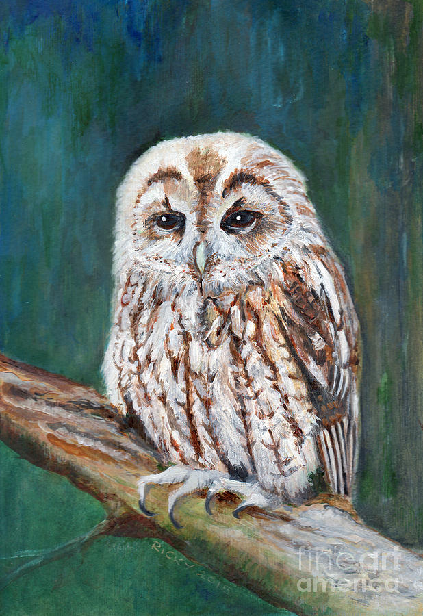 Bird Painting - Tawny Owl by Veronica Rickard