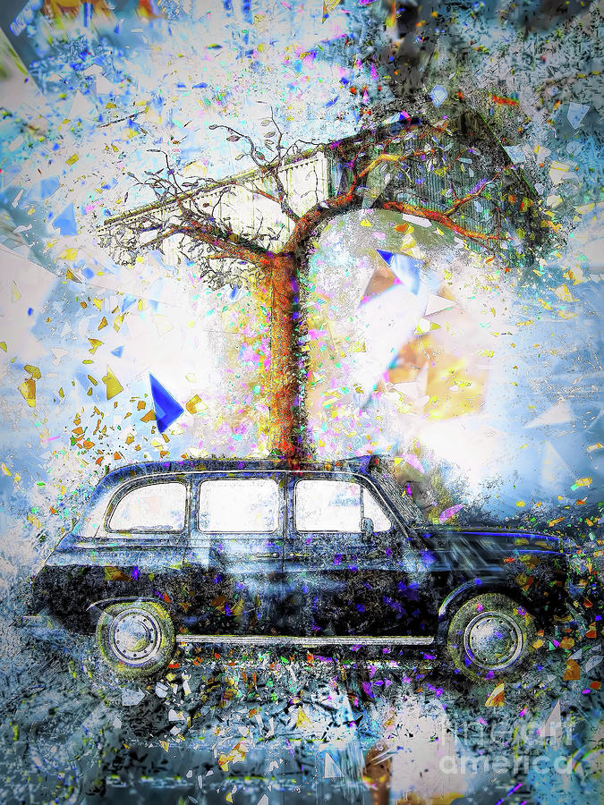 Taxi Tree Photograph by Jack Torcello