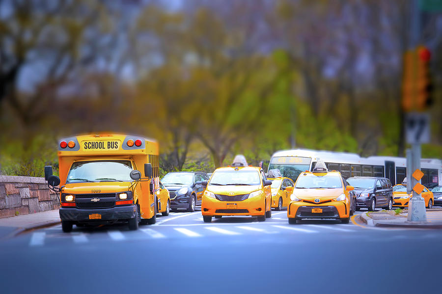 Taxis In Central Park Photograph