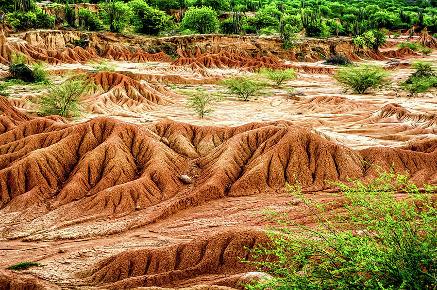 Tatacoa Desert Photograph by Maria Coulson
