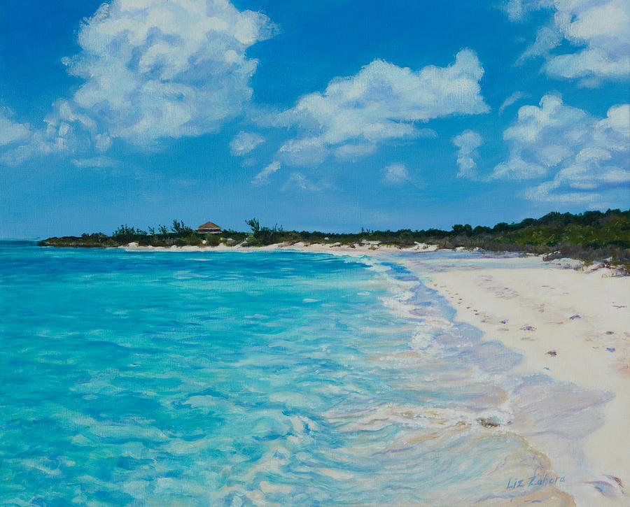 Taylor Bay Painting by Liz Zahara