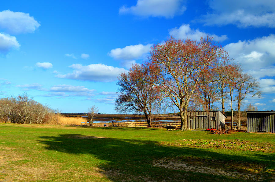 Taylor Bray Farm in Spring Photograph by Dianne Cowen Cape Cod Photography