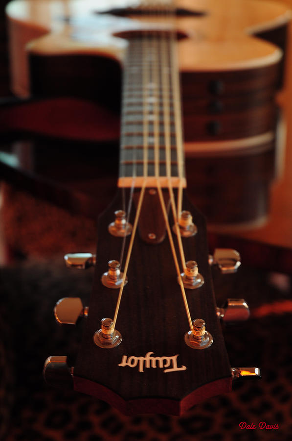 Taylor Guitar Photograph by Dale Davis - Pixels