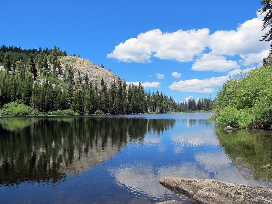 Taylor Lake 2 Photograph by Susan Lindblom - Fine Art America