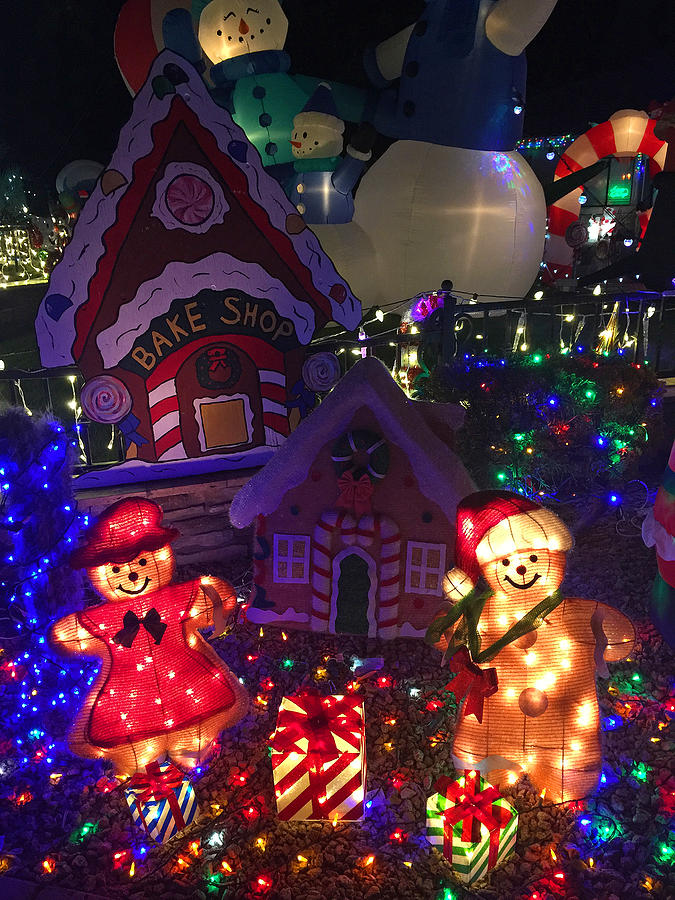 Taylor Residence Christmas Lights Extravaganza 2 Photograph