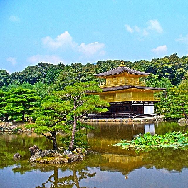 Summer Photograph - #tbt Wish I Was Back In #kyoto #japan by Austin Tuxedo Cat