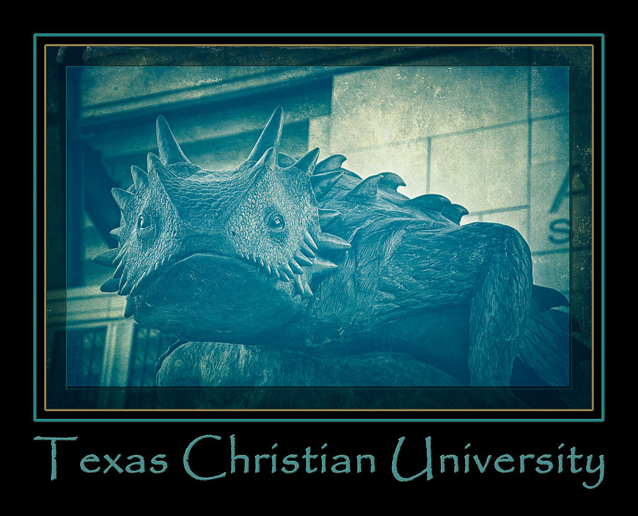 TCU Horned Frog Blue Poster Photograph by Joan Carroll