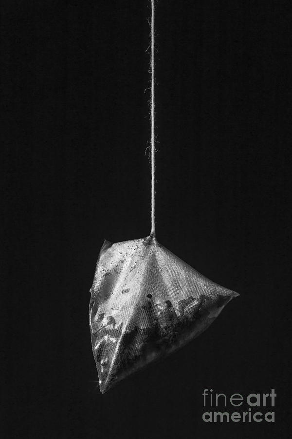 Still Life Photograph - Tea Bag Still Life by Edward Fielding