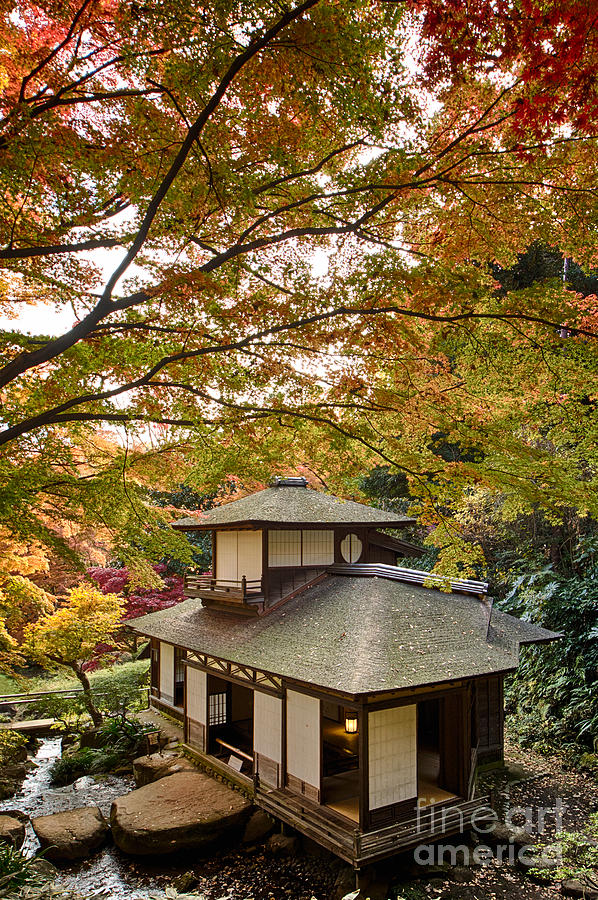 Tradition Photograph - Tea Ceremony Room by Tad Kanazaki Tradition Photograph - Tea Ceremony Room by Tad Kanazaki