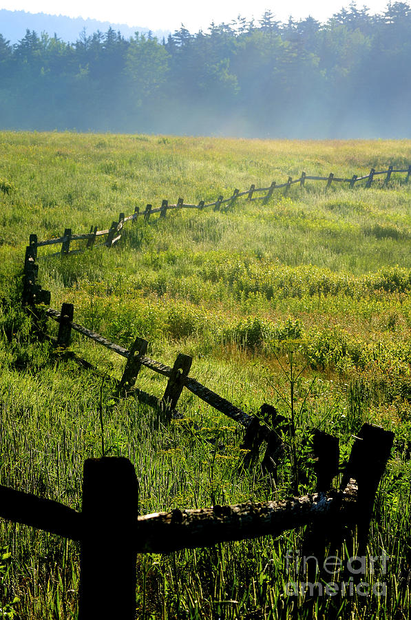 Tea Creek Meadow Photograph by Thomas R Fletcher