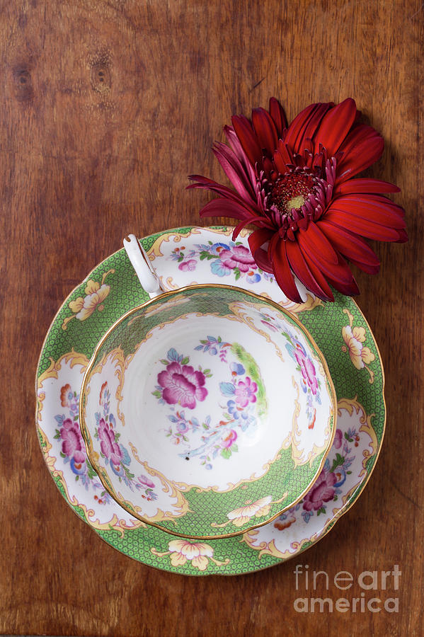 Tea Cup and flower Photograph by Edward Fielding