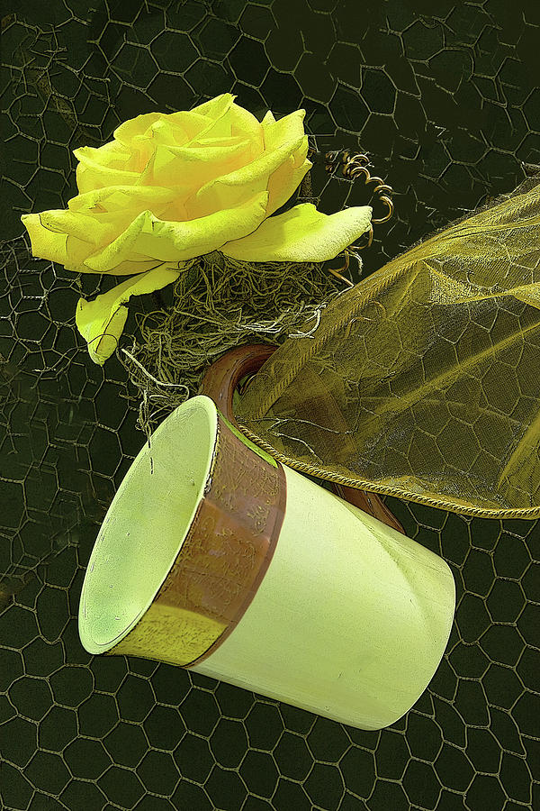 Tea Cup and Rose Photograph by Floyd Hopper