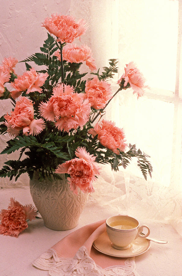 Vase Photograph - Tea cup with pink carnations by Garry Gay